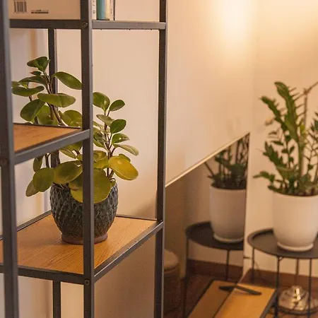 Przytulny Mickiewicza 14 4 Apartament Wielen